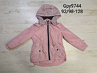 Вітровка на флісі для дівчаток  оптом, Glo-story, 92/98-128 см, арт. GPY-9744, фото 2
