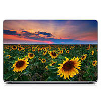 Наклейка на крышку ноутбука виниловая защитная 15.6"-13.3" Sunflowers Матовая 380х250 мм
