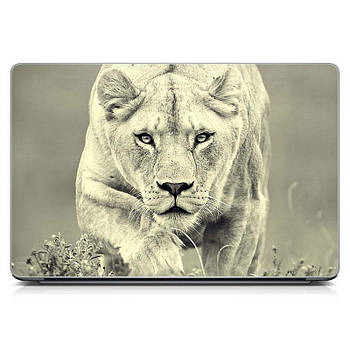 Універсальна наклейка на ноутбук 15.6 "-13.3" lioness Матриська 380 x250 мм