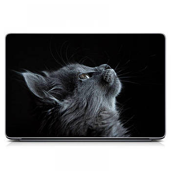 Захисна наклейка для ноутбука 17.3"-13.3" 400x260 мм ReD Погляд кота Матова, наклейки на ноутбук на Acer, Asus, Dell, HP
