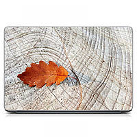 Наклейка для ноутбука защитная 15.6"-13.3" 380x250 мм Red Осенний лист Матовая, прикольные подарки парню,