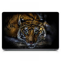 Наклейка на ноутбук защитная 15.6"-13.3" Тигр 2 Матовая, наклейки на корпус ноутбука 380х250 мм