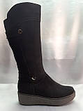 Зимові комфортні жіночі замшеві чоботи Romax, фото 2