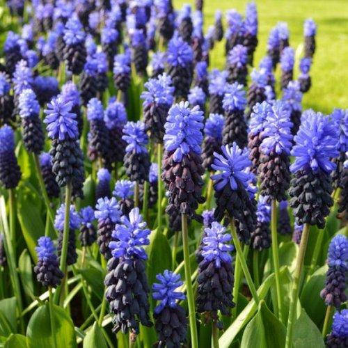 Орыс порно толық фильмдер онлайн Лифттегі есекке