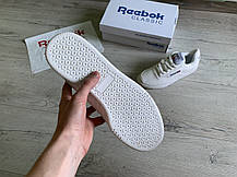 Чоловічі кросівки кеди Reebok Classic White білі, фото 6