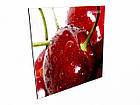 Керамічна інфрачервона панель обігрівач Камін 4755вт, 6,18, фото 5