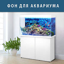 Морське дно наклейка в акваріум 40х65 см (650х400), фото 3
