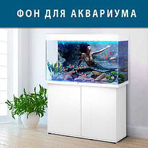 Морський світ під водою на наклейці для акваріума 40х65 см (650х400), фото 3