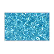 Наклейка з рибами і морською флорою для акваріума 40х65 см (650х400), фото 3