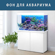 Морська фауна на наклейці в акваріум, в наявності та під замовлення 40х65 см (650х400), фото 2
