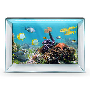 Наклейка з рибами і морською флорою для акваріума 40х65 см