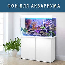 Підводний світ в акваріум наклейка, в різних розмірах 40х65 см (650х400), фото 3