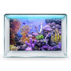 Підводний світ в акваріум наклейка, в різних розмірах 40х65 см