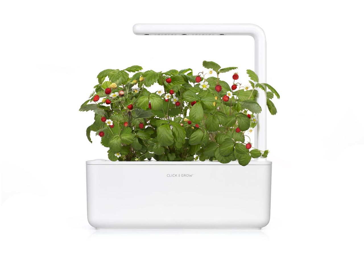 Розумний сад Smart Garden 3 білий від Click&Grow
