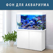 Морська Флора наклейка в акваріум 40х65 см (650х400), фото 3