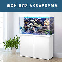 Підводний світ в акваріум наклейка, в різних розмірах 40х65 см (650х400), фото 3