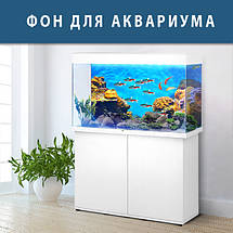 Підводний світ в акваріум наклейка, в різних розмірах 40х65 см (650х400), фото 3