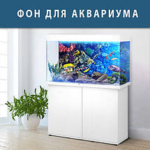 Підводний світ в акваріум наклейка, в різних розмірах 40х65 см (650х400), фото 2