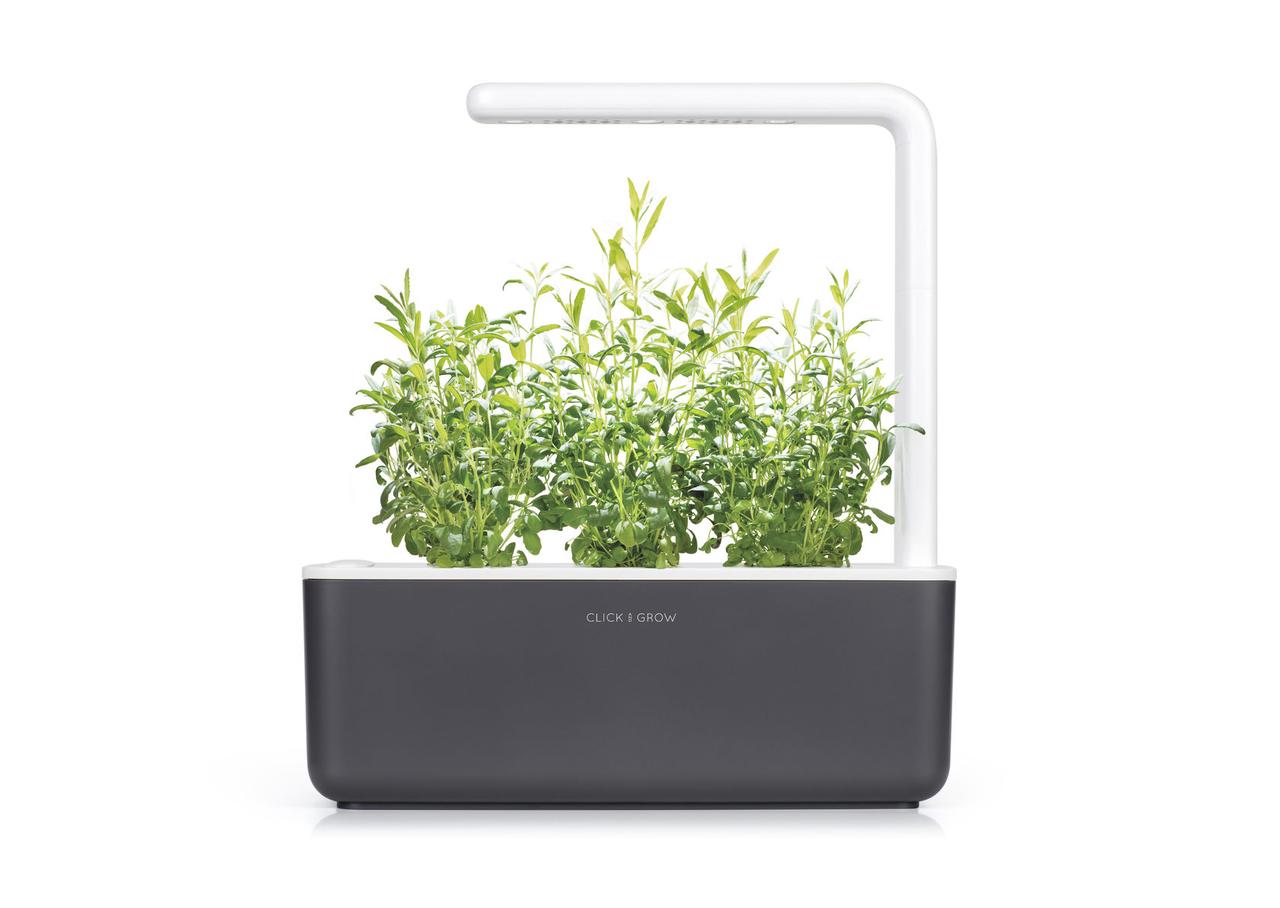 Розумний сад Smart Garden 3 сірий від Click&Grow