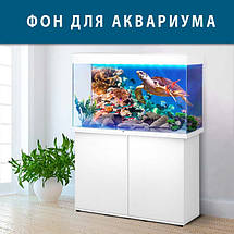 Фон в акваріум самоклеючий 40х65 см (650х400), фото 2