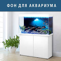 Море для акваріума наклейка з рибами 40х65 см (650х400), фото 4