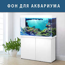 Підводний світ в акваріум наклейка, в різних розмірах 40х65 см (650х400), фото 3