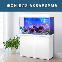Наклейка в акваріум 3D морське дно, в різних розмірах 40х65 см, фото 3