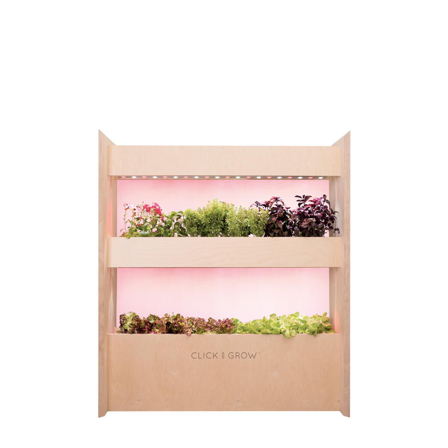 Вертикальний сад Wall farm mini Click&Grow