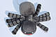 М'яка Іграшка Minecraft Spider Майнкрафт Павук 17 см 41.56, фото 8