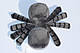 М'яка Іграшка Minecraft Spider Майнкрафт Павук 17 см 41.56, фото 10
