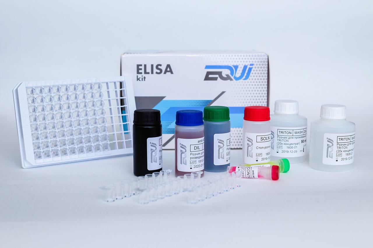 EQUI anti-HBcore, фото 1