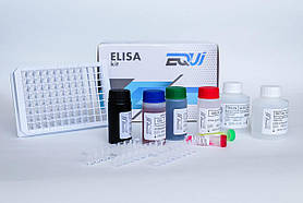 EQUI Toxoplasma gondii IgM