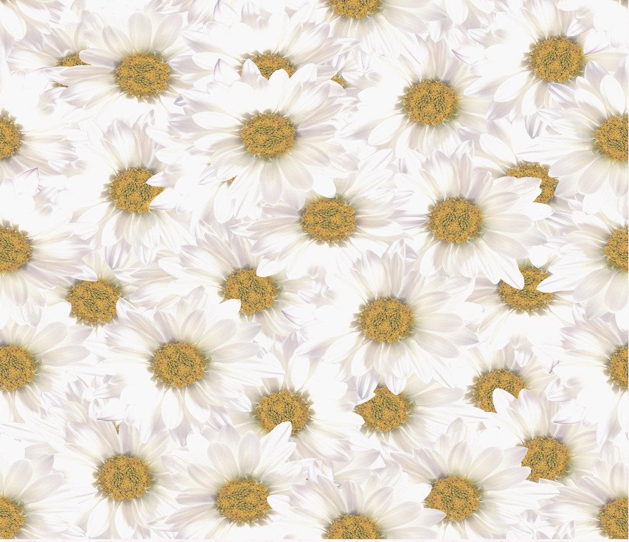 Фотообои цветы бумажные на стену Ромашки "Нежность", 6 листов, 140х145см - фото 2 - id-p120419601