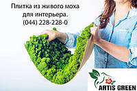 Плитка из мха для стен и потолка "Artis Green", S1