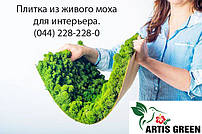 Плитка з моху для стін і стелі "Artis Green", S1