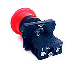 Кнопка 1 контакт Аватар грибоподібна без корпусу з фіксацією XB2 ES542 (ST 891), фото 2