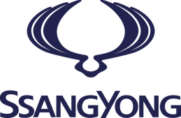 Накладки на пороги з підсвічуванням для SsangYong