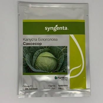 Насіння капусти Саксесор F1 Syngenta, 2500 насіння — капуста білочена, середньопоздня, фото 1