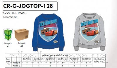 Кофта для хлопчиків оптом, Disney, 98-128 рр., Арт. CR-G-JOGTOP-128, фото 1
