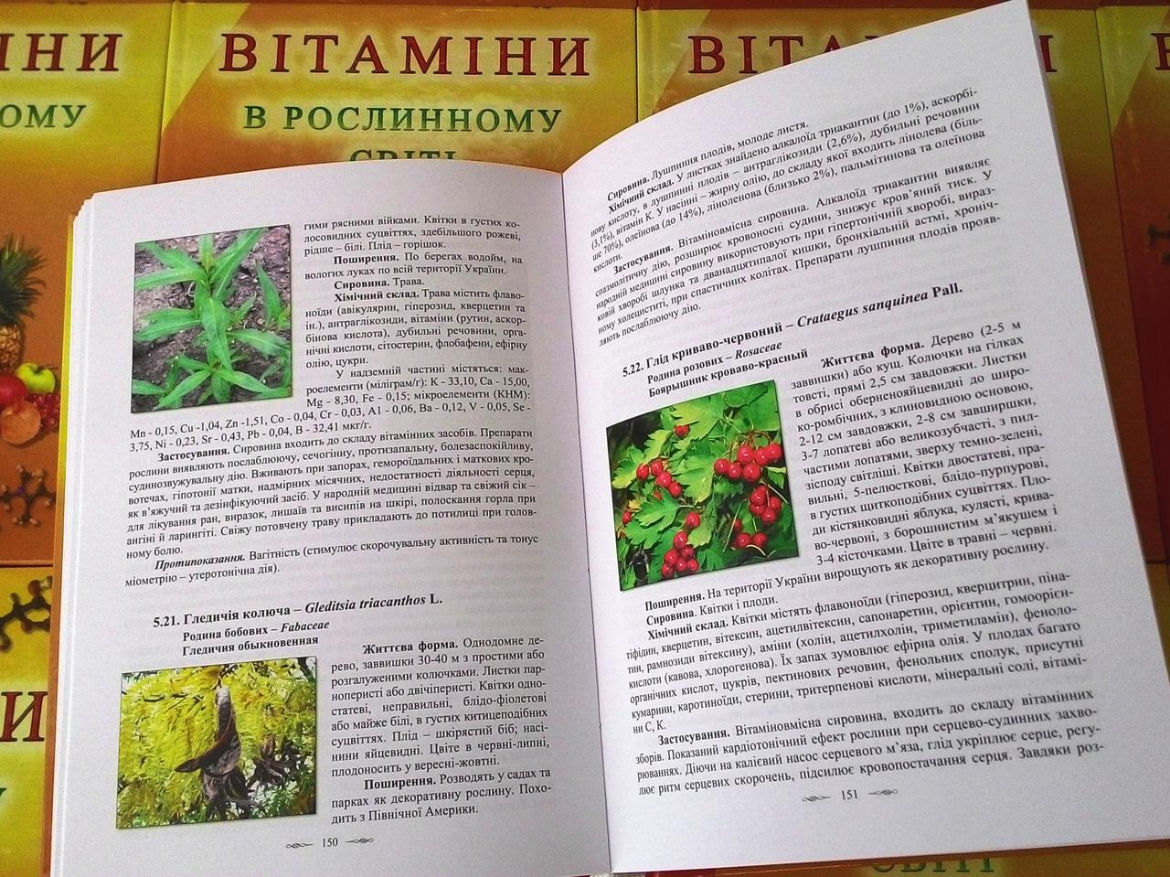 Друк книг малими тиражами
