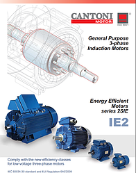 2SIE серія | Трифазні двигуни IE2 Висока ефективність" з короткозамкненим ротором.