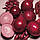 Цибуля озима Ред Барон, 0.5 кг. Голландія, оригінал., фото 2