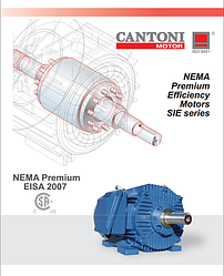 Трифазні двигуни NEMA з короткозамкненим ротором.