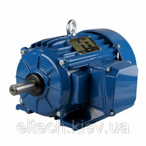 Серія ESg-STe | Трифазні двигуни "NEMA Epact" з короткозамкненим ротором., фото 1