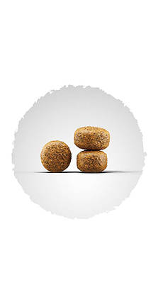 Сухий корм Josera Balance (для літніх, малоактивних собак), фото 4