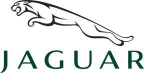 Накладки на пороги з підсвічуванням для Jaguar