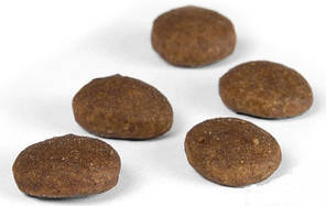 Сухий корм Josera Festival (для вибагливих собак, з лососем), фото 4