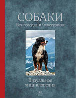 Собаки. Без поводка и намордника. Подарочное издание