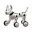 Дитяча інтерактивна собака "ROBODOG" з пультом управління, фото 9