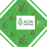 Десиканти ALFA smart agro